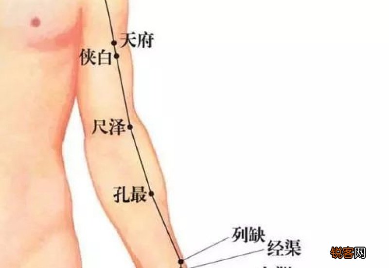 肺经不好怎么调理