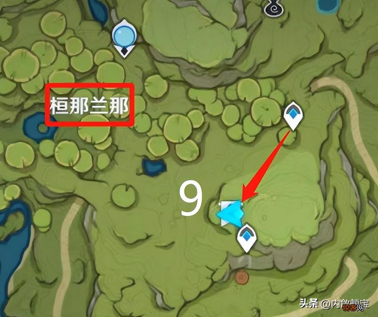 原神水天供书在森林中寻找苗圃 原神水天供书后续