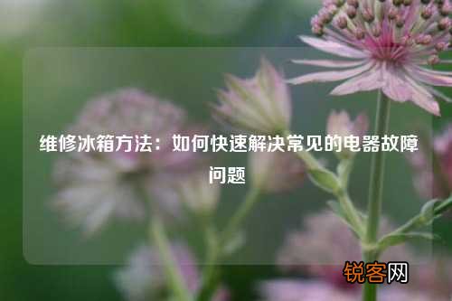 维修冰箱方法：如何快速解决常见的电器故障问题
