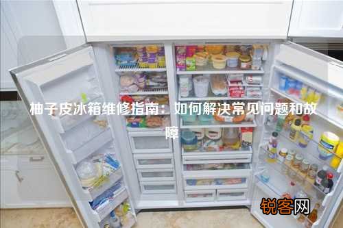柚子皮冰箱维修指南：如何解决常见问题和故障