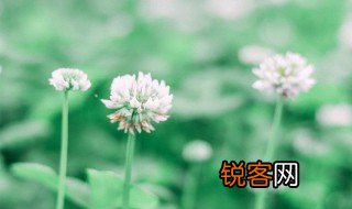拜拜了您嘞是什么意思 拜拜了您嘞具体是什么意思