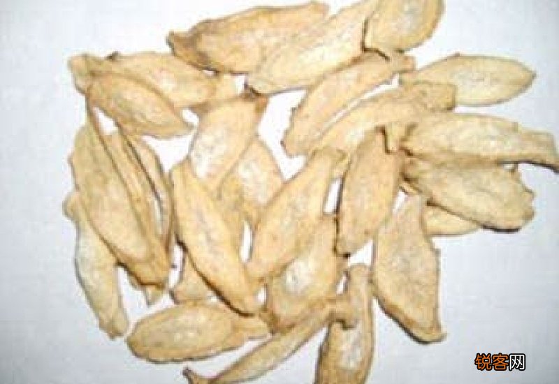 牛蒡根泡水放多少