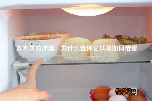 冻水果的冰箱：为什么选择它以及如何维修