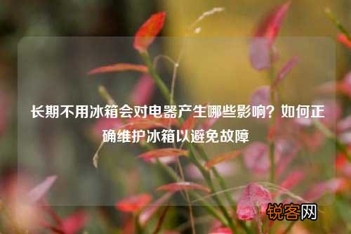 长期不用冰箱会对电器产生哪些影响？如何正确维护冰箱以避免故障