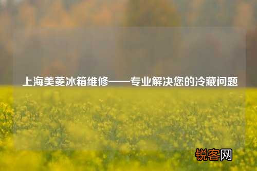 上海美菱冰箱维修——专业解决您的冷藏问题