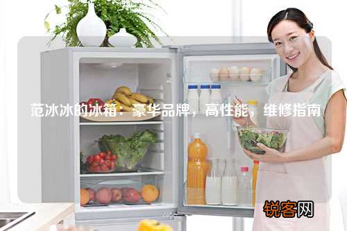 范冰冰的冰箱：豪华品牌，高性能，维修指南