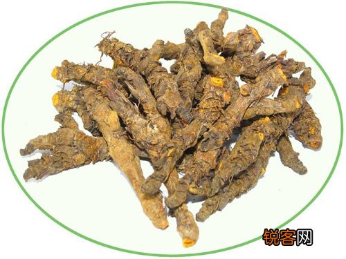 中药黄连为何能“降火”