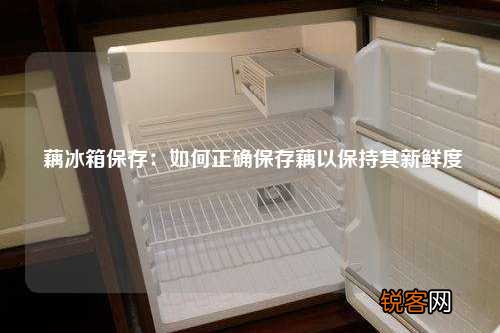 藕冰箱保存：如何正确保存藕以保持其新鲜度