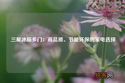 三星冰箱多门：高品质、节能环保的家电选择