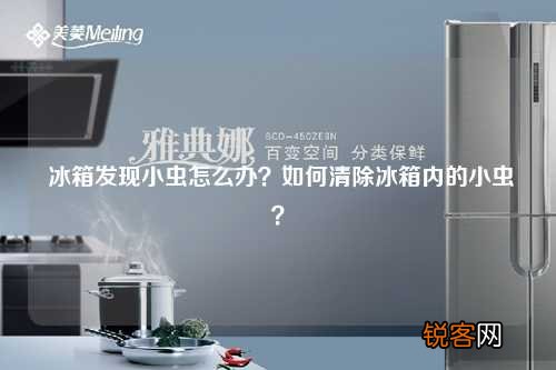 冰箱发现小虫怎么办？如何清除冰箱内的小虫？