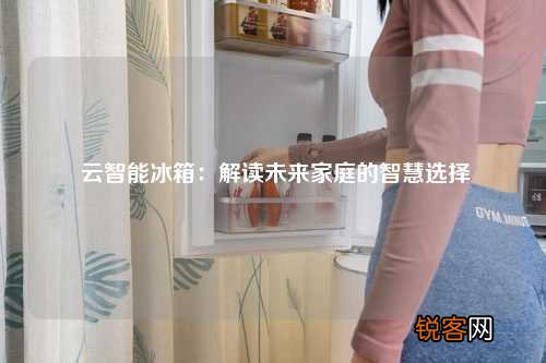 云智能冰箱：解读未来家庭的智慧选择