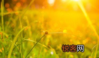 怎样理解两三方斜斜的太阳 如何理解两三方斜斜的太阳