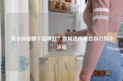 买小冰箱哪个品牌好？如何选择适合自己的小冰箱