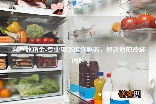 容声冰箱金-专业电器维修服务，解决您的冷藏问题