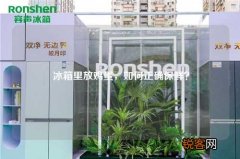 冰箱里放鸡蛋，如何正确保鲜？