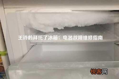 王诗龄拜托了冰箱：电器故障维修指南