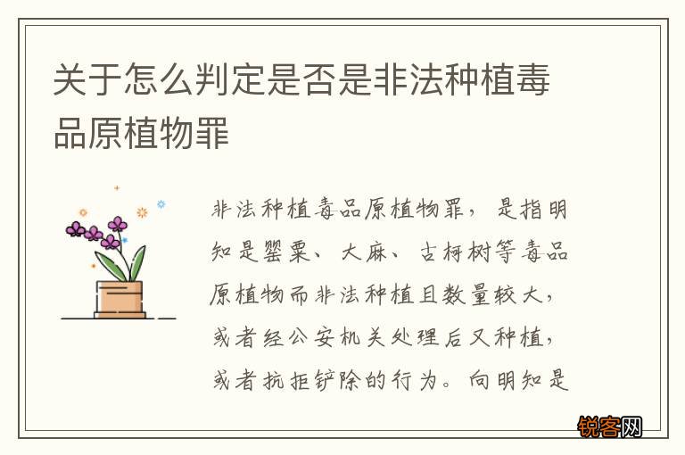 关于怎么判定是否是非法种植毒品原植物罪