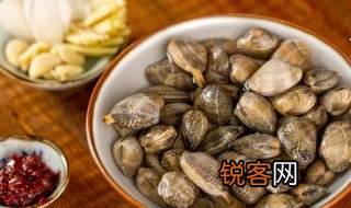 花蛤怎么读 花蛤是什么