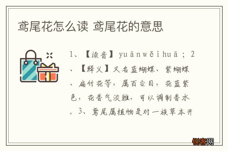 鸢尾花怎么读 鸢尾花的意思