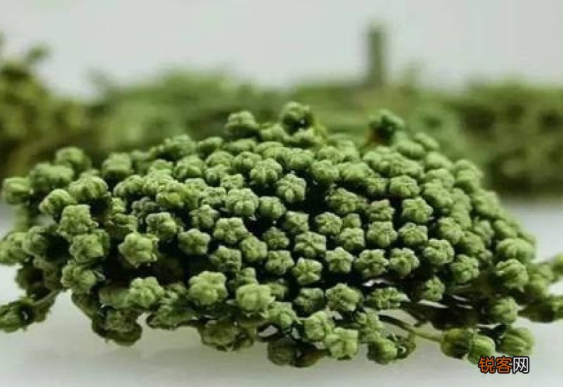 泡三七花的正确方法 三七花泡水喝能降血压吗