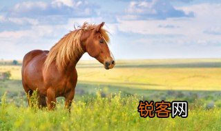 路遥知马力日久见人心的意思是什么 路遥知马力日久见人心的意思