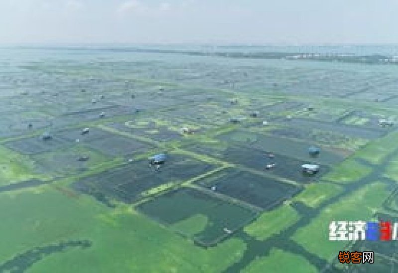 阳澄湖在哪里哪个省的
