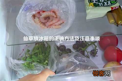 仙草放冰箱的正确方法及注意事项