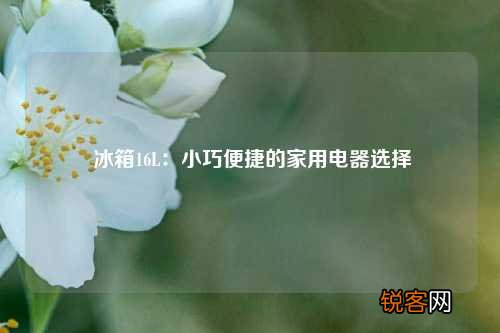 冰箱16L：小巧便捷的家用电器选择