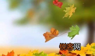 散文读后感 有关散文读后感
