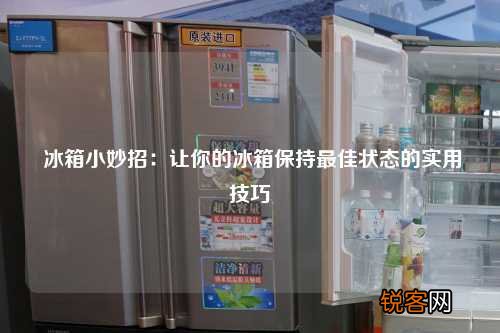 冰箱小妙招：让你的冰箱保持最佳状态的实用技巧