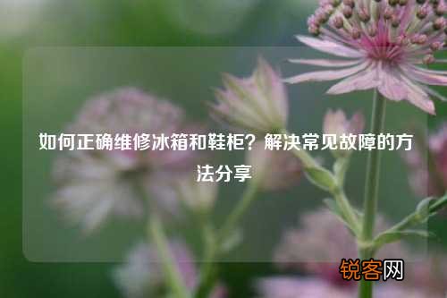 如何正确维修冰箱和鞋柜？解决常见故障的方法分享