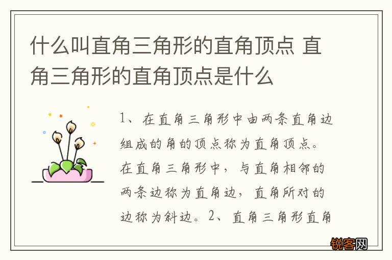 什么叫直角三角形的直角顶点 直角三角形的直角顶点是什么