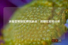 冰箱变频和定频优缺点：详细比较和分析
