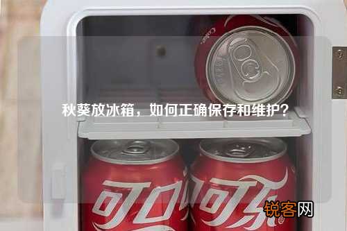 秋葵放冰箱，如何正确保存和维护？