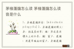茅椽蓬牖怎么读 茅椽蓬牖怎么读音是什么