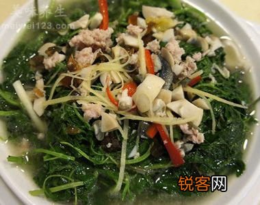美容养颜又补血的益母草食疗方