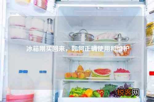 冰箱刚买回来，如何正确使用和维护