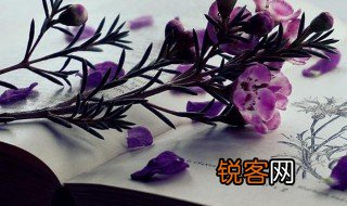 什么是文章的线索 文章的线索介绍