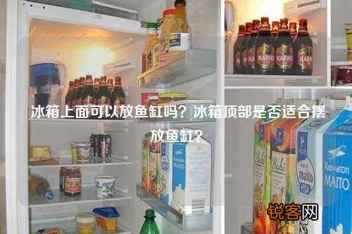 冰箱上面可以放鱼缸吗？冰箱顶部是否适合摆放鱼缸？
