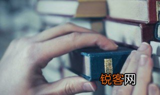 什么是程序法 程序法意思介绍