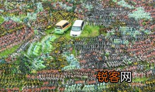 密密麻麻什么意思 密密麻麻的理解