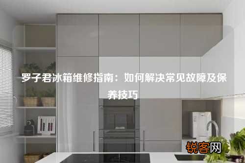 罗子君冰箱维修指南：如何解决常见故障及保养技巧