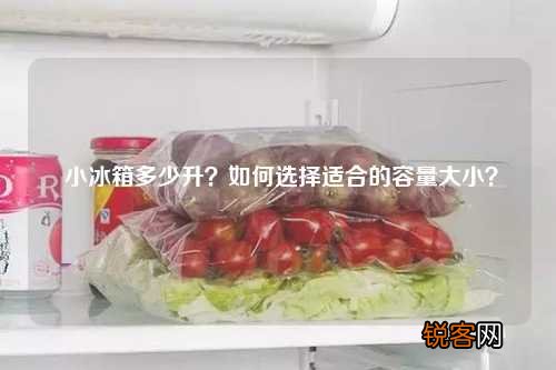 小冰箱多少升？如何选择适合的容量大小？
