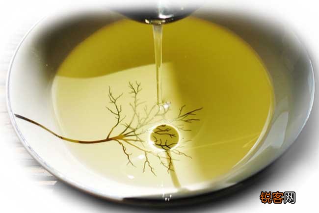 茶油多少钱一斤？