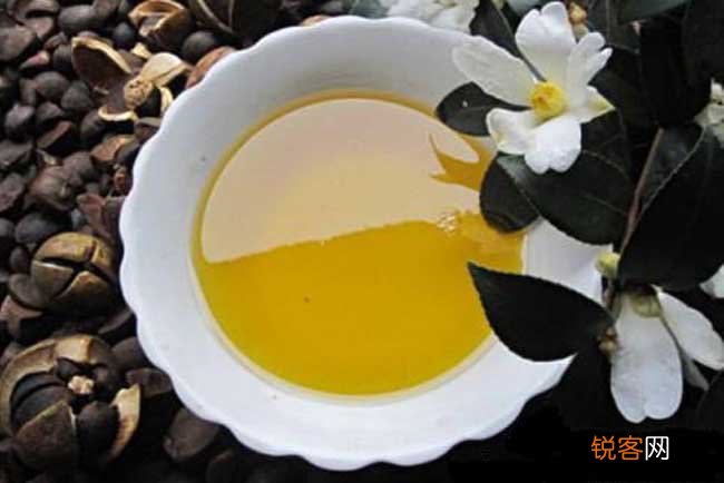 茶油多少钱一斤？