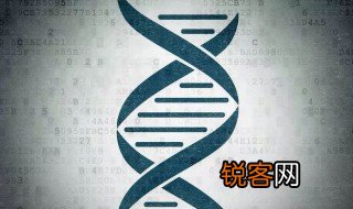 什么是遗传物质 遗传物质简单介绍