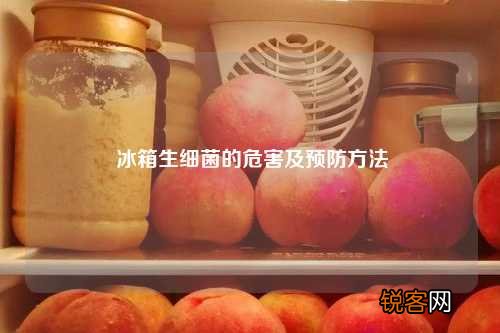 冰箱生细菌的危害及预防方法