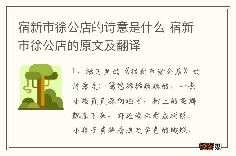 宿新市徐公店的诗意是什么 宿新市徐公店的原文及翻译