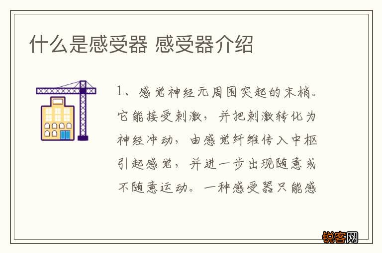什么是感受器 感受器介绍