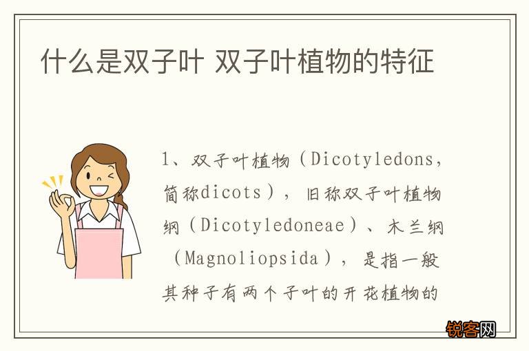 什么是双子叶 双子叶植物的特征
